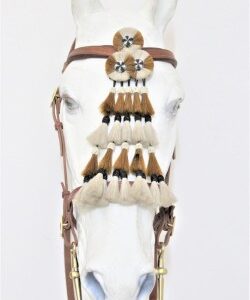 3035 Iberica Bridle