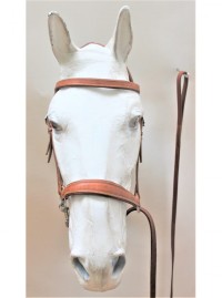00305 Portuguese Presentation Halter - Image 2