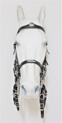 2031 Half Courtesy Oliveirar Coroa - Image 8